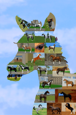 Jumpy Horse Breeding