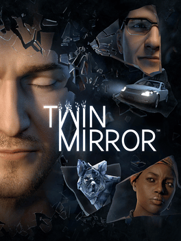 Twin Mirror Cover