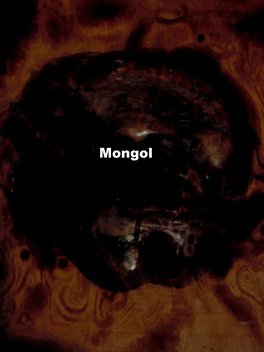 Mongol