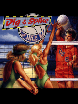 Dig & Spike Volleyball Cover