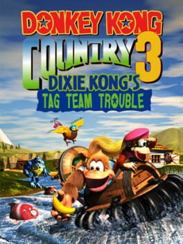 Donkey Kong Country 3 Hack Tag Team Super Nintendo Snes