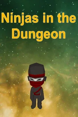 Ninjas in the Dungeon