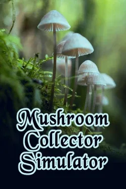 Mushroom Collector Simulator