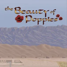 The Beauty of Poppies