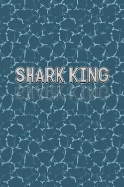 SharkKing