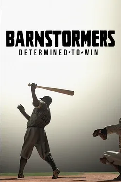 Barnstormers: Determined to Win game cover