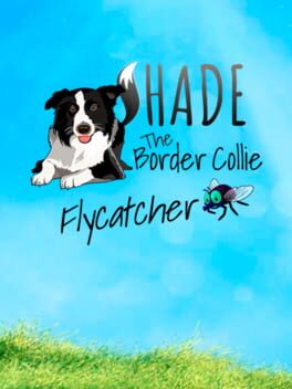 Shade: The Border Collie Flycatcher