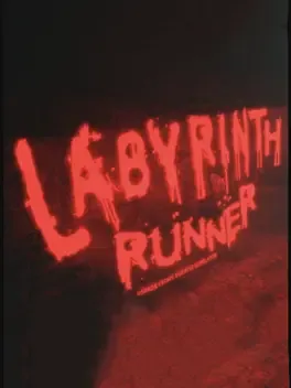 Labyrinth Runner image