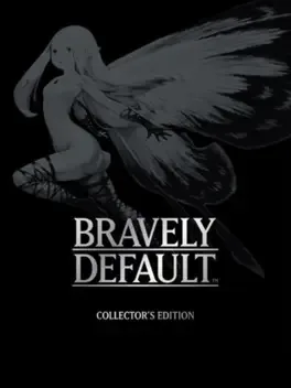 Bravely Default: Collector's Edition image