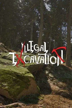 Illegal Excavation