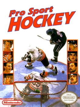 Pro Sport Hockey游戏资源下载