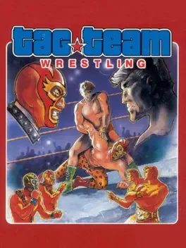 Tag Team Wrestling image