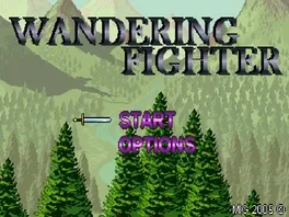 Wandering Fighter