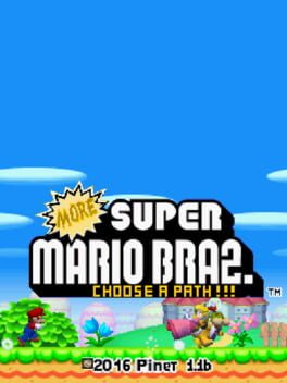 More Super Mario "Bras." 2: Choose a Path!