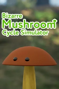 Bizarre Mushroom Cycle Simulator