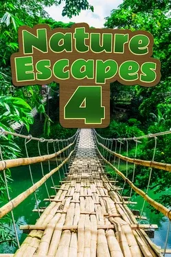 Nature Escapes 4 game cover