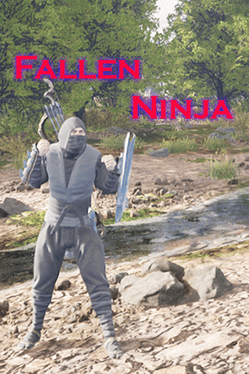 Fallen Ninja