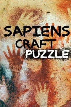 Portada de Sapiens Craft Puzzle