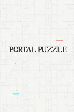Portal Puzzle