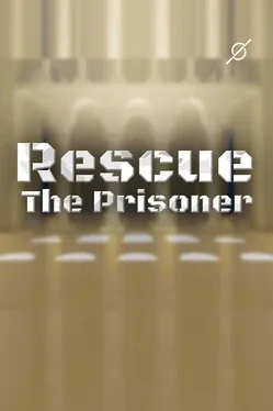 Rescue the Prisoner