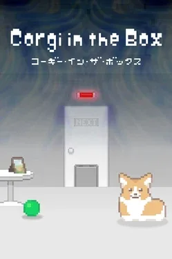 Corgi in the Box