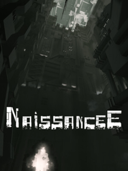 Affiche du jeu vidéo NaissanceE