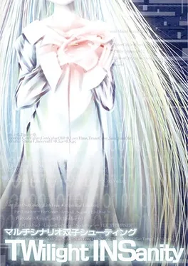 Image de couverture Twilight Insanity