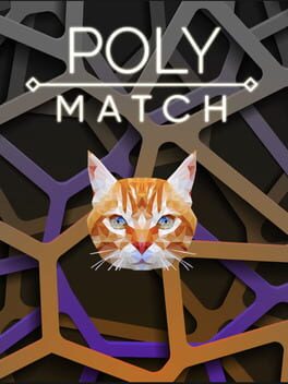 Poly Match