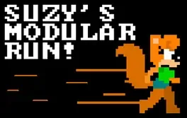 Suzy's Modular Run image