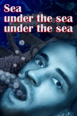 Sea under the sea under the sea image