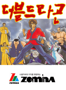 Double Dragon Cover