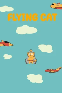 Flying Cat image