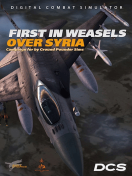 DCS World: F-16C First in Weasels Over Syria Campaign by Ground Pounder Sims