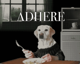 Adhere: The Good Boy