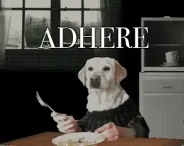 Adhere: The Good Boy