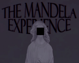 The Mandela Experience Cover