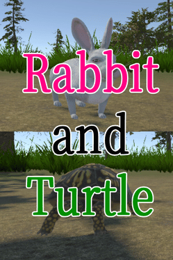 Rabbit and Turtle