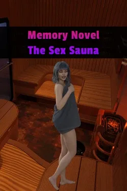 Memory Novel: The Sex Sauna game cover