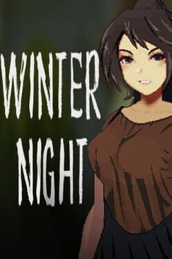 Winter Night Game Cover Artwork
