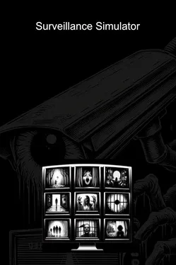 Surveillance Simulator