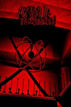 MR 333 II: Planetbirth