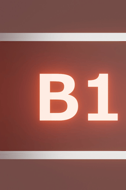 B1