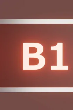 B1