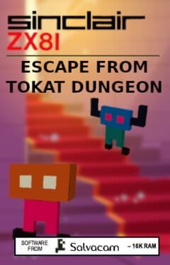 Escape from Tokat Dungeon