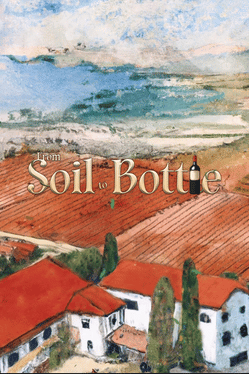 From Soil to Bottle