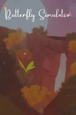 Butterfly Simulator