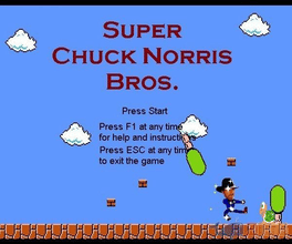 Super Chuck Norris Bros