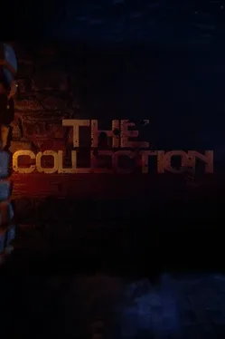The Collection