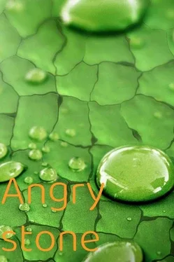 Angry stone game cover
