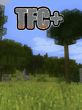 TerraFirmaCraft+